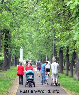 Детские коляски на аллее парка